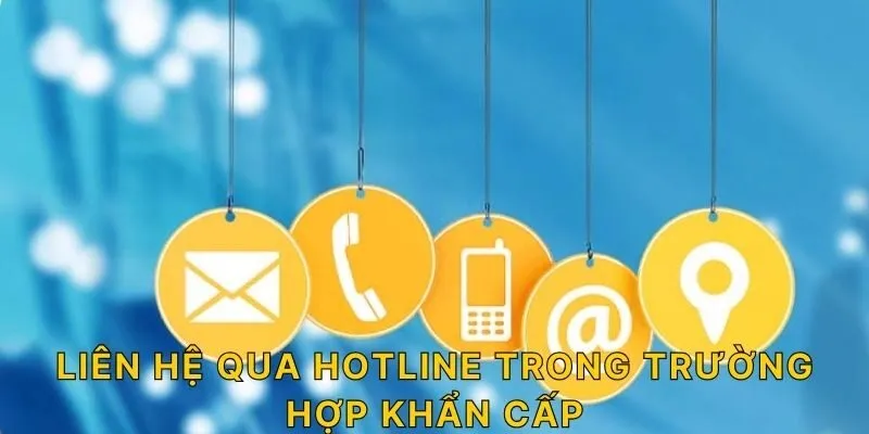 Liên hệ qua hotline trong trường hợp khẩn cấp!